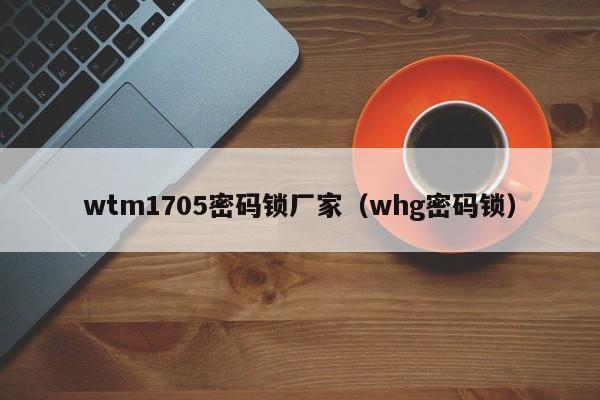 wtm1705密码锁厂家（whg密码锁）