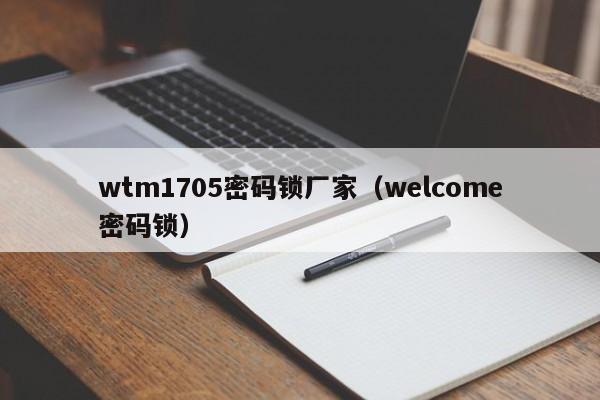 wtm1705密码锁厂家（welcome密码锁）