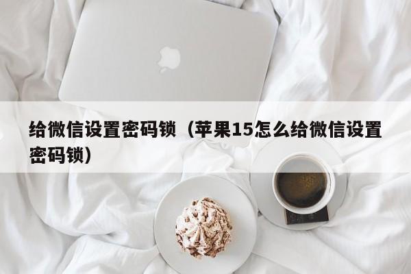 给微信设置密码锁（苹果15怎么给微信设置密码锁）