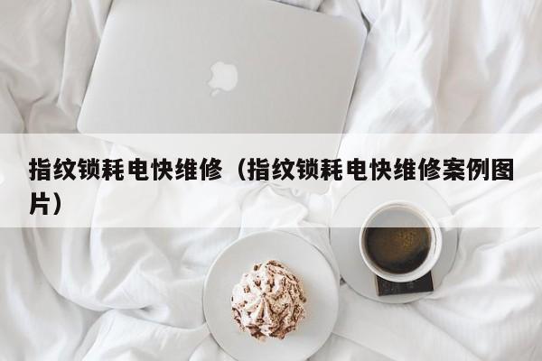 指纹锁耗电快维修（指纹锁耗电快维修案例图片）