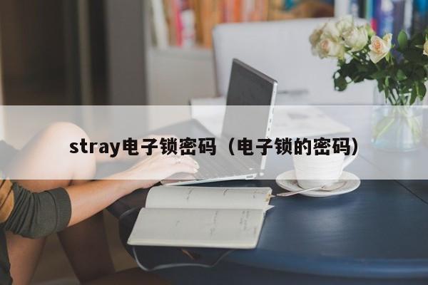 stray电子锁密码（电子锁的密码）