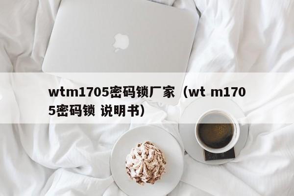 wtm1705密码锁厂家（wt m1705密码锁 说明书）