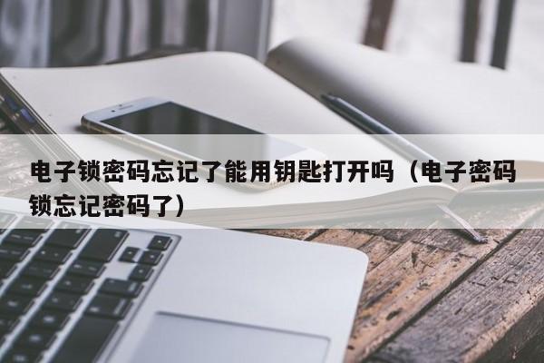 电子锁密码忘记了能用钥匙打开吗（电子密码锁忘记密码了）