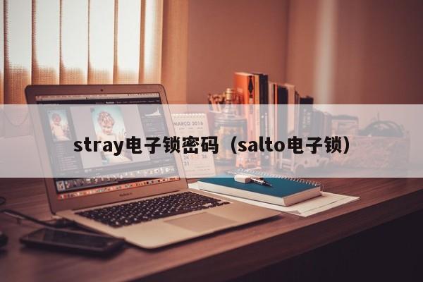 stray电子锁密码（salto电子锁）