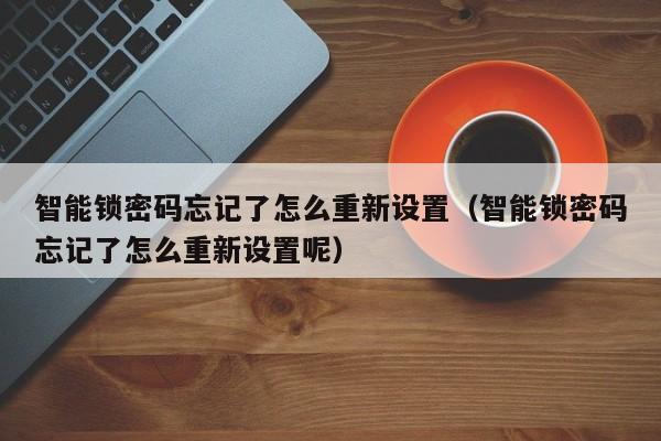 智能锁密码忘记了怎么重新设置（智能锁密码忘记了怎么重新设置呢）